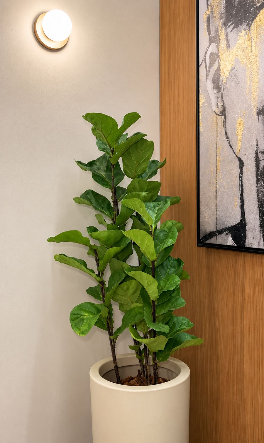 Canto verde da clínica